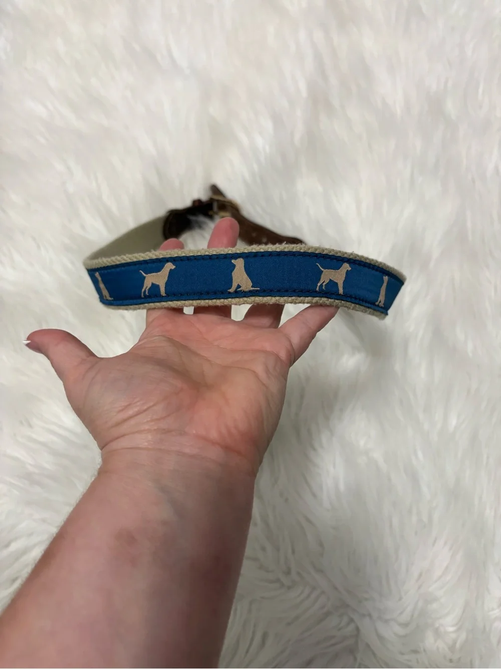 Boy’s Preppy Blue Ribbon Belt Khaki Dog Silhouette Collar Brown Leather